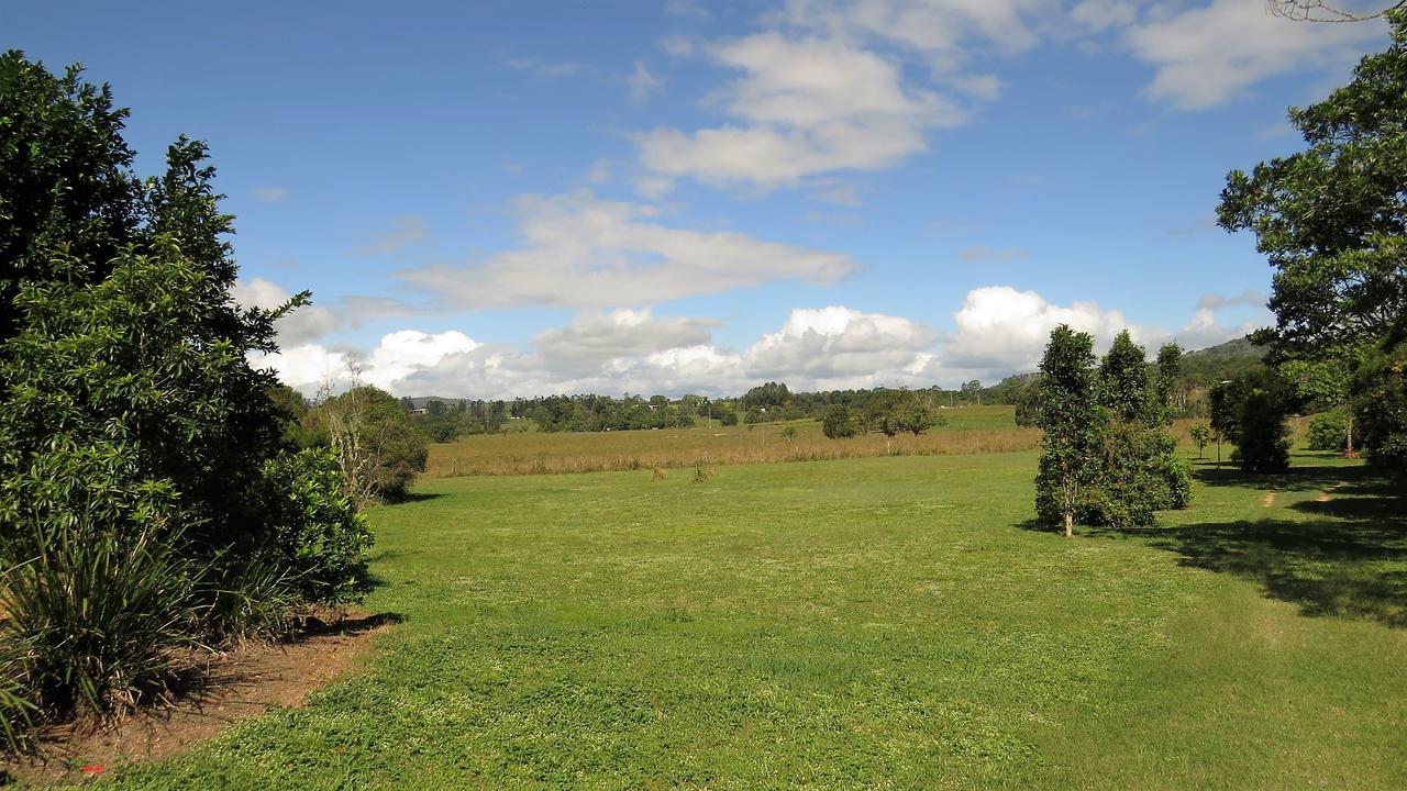 Gumtree On Gillies Bed And Breakfast Yungaburra Exterior photo